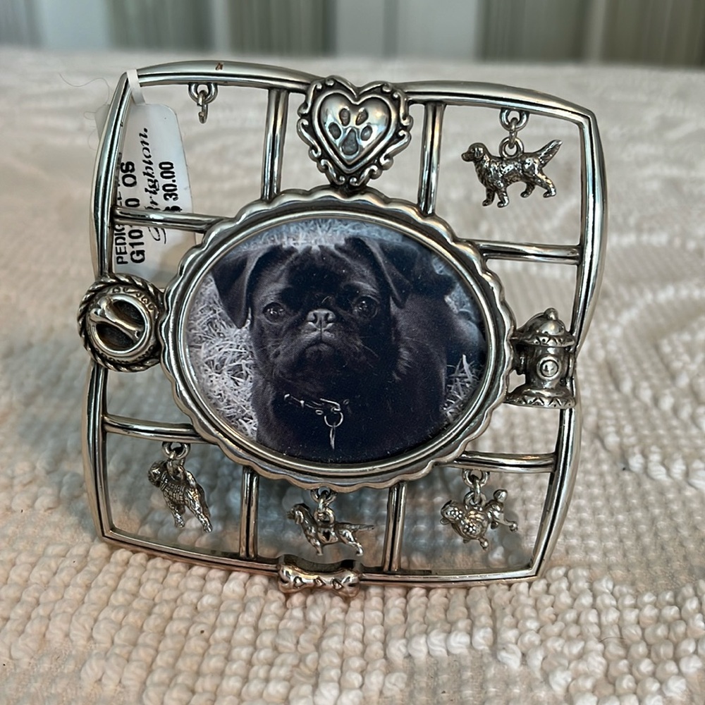Brighton pedigree dog small picture frame